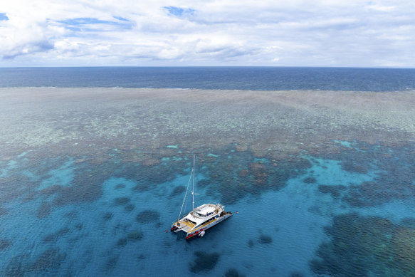 On the Great Barrier Reef with eco-friendly operator Passions of Paradise.