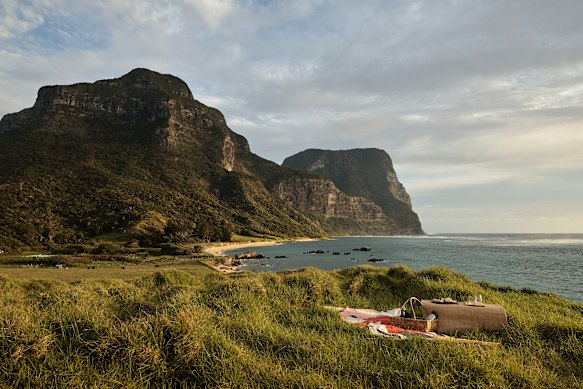 Ancient stunner... Lord Howe Island.