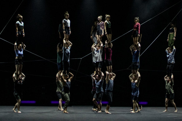The Pulse was to be part of Sydney Festival's 2021 program.