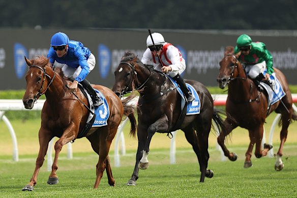 Napoleonic running second to Tempted in the Eskimo Prince Stakes.