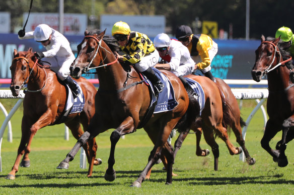 Remarque charges to the front first-up at Randwick last month.