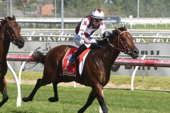 Cliff's Edge can boost his stallion profile with a group 1 win in Saturday's Memsie Stakes.