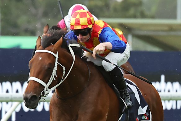 Well Written could start favourite in front of Autumn Boy (pictured) in Saturday’s Epsom at Randwick.