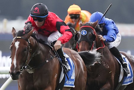 Ninja wins the Hobartville Stakes last start with Tommy Berry aboard.