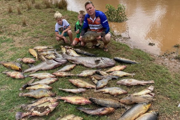 Matt Hansen (right), president of the Inland Waterways group, with his sons, Jack (left) and Cooper, near dead fish pulled from the Macquarie and Bell rivers near Dubbo in recent days.