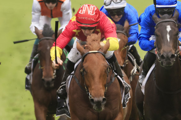 Tiger Of Malay has a big weight but also the class edge in the Up And Coming Stakes.