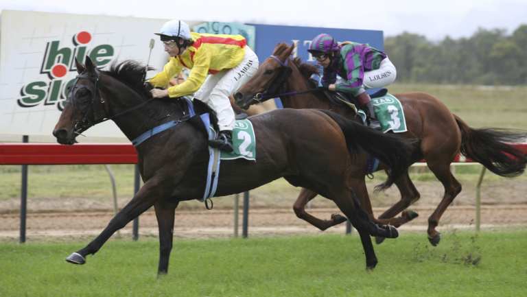 NSW Racing eyes turn to Cessnock Racecourse on Thursday.