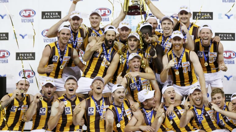 2018 VFL Premiers Box Hill Hawks