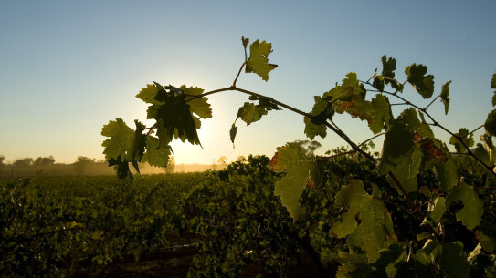 Young Australian job seekers will be given incentives to work on farms due to a labour shortage.