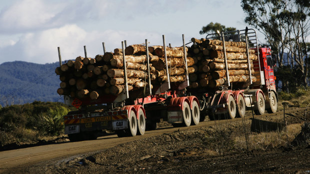 Logging future uncertain as Japanese giant Nippon closes Australia’s last white paper plant