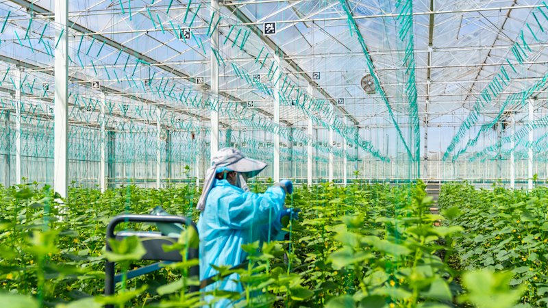 Giant glasshouse in fresh hands through $168m deal
