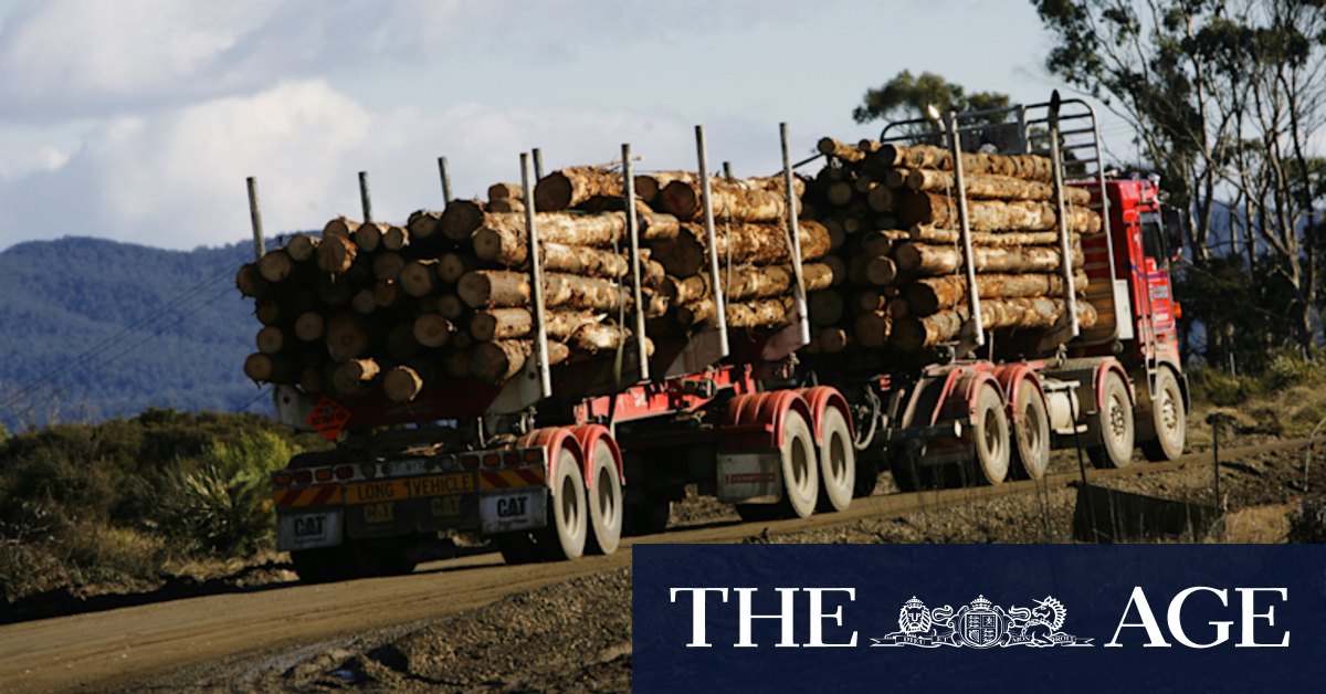 Logging uncertainty: Nippon to close white paper mill in La Trobe Valley - Vimarsana News
