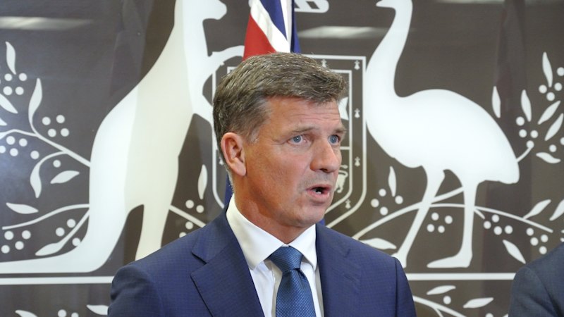 Must we be cruel to ISIS brides to be kind to our MPs’ margins?