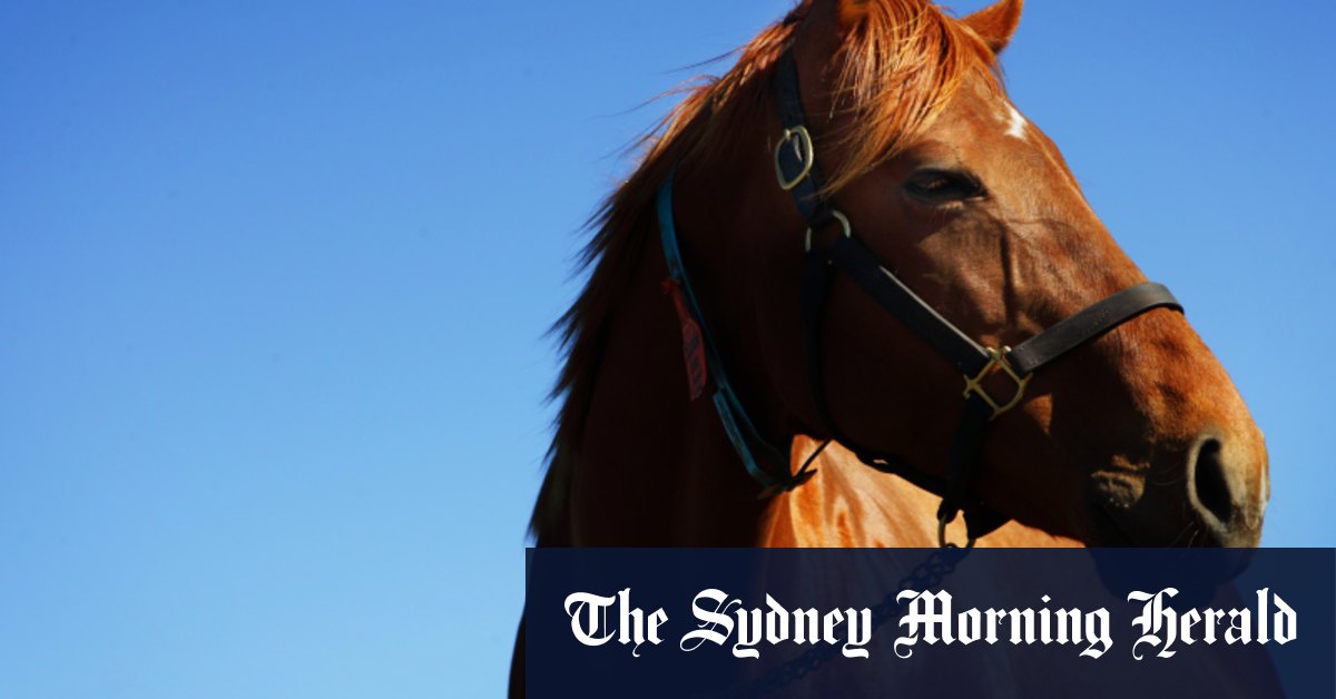 Race-by-race preview and tips for Scone meeting on Tuesday