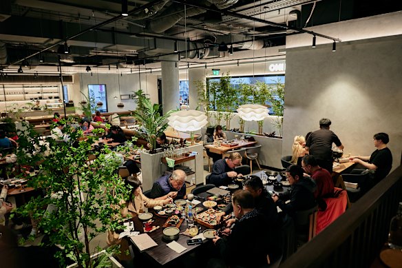 Omi 380 is a new five-in-one Japanese venue in the CBD.