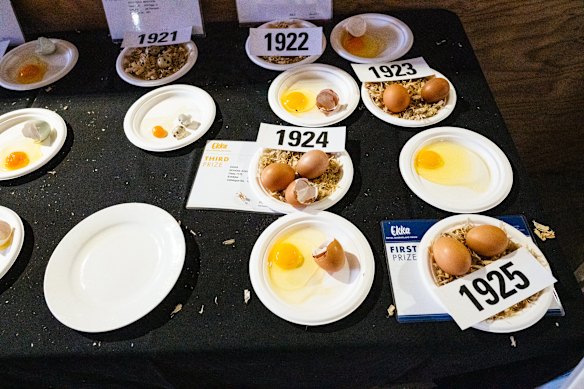 Across the 46 competition sections, close to 500 judges and stewards are 
involved.