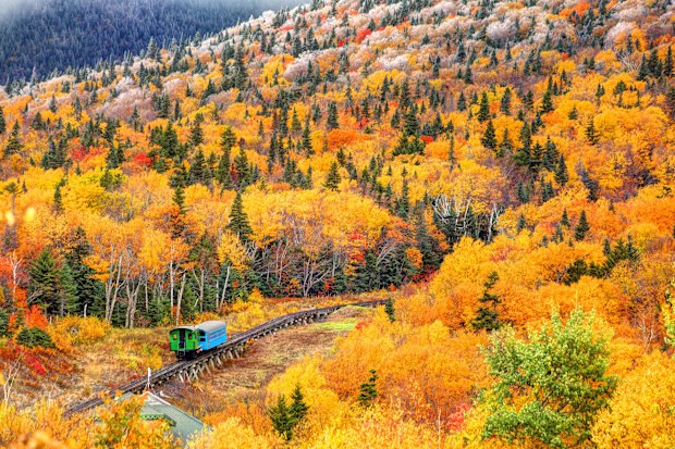 Bright orange fall foliage in White Mountains, New Hampshire