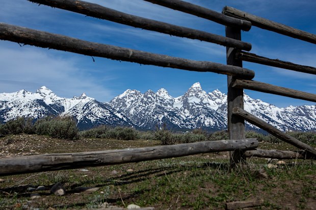 snow covered mountains with grass in foreground