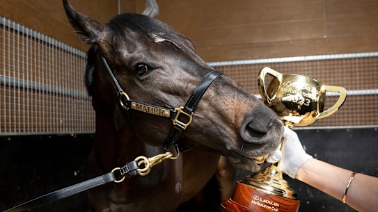 Gold Trip is aiming to defend his Melbourne Cup title.
