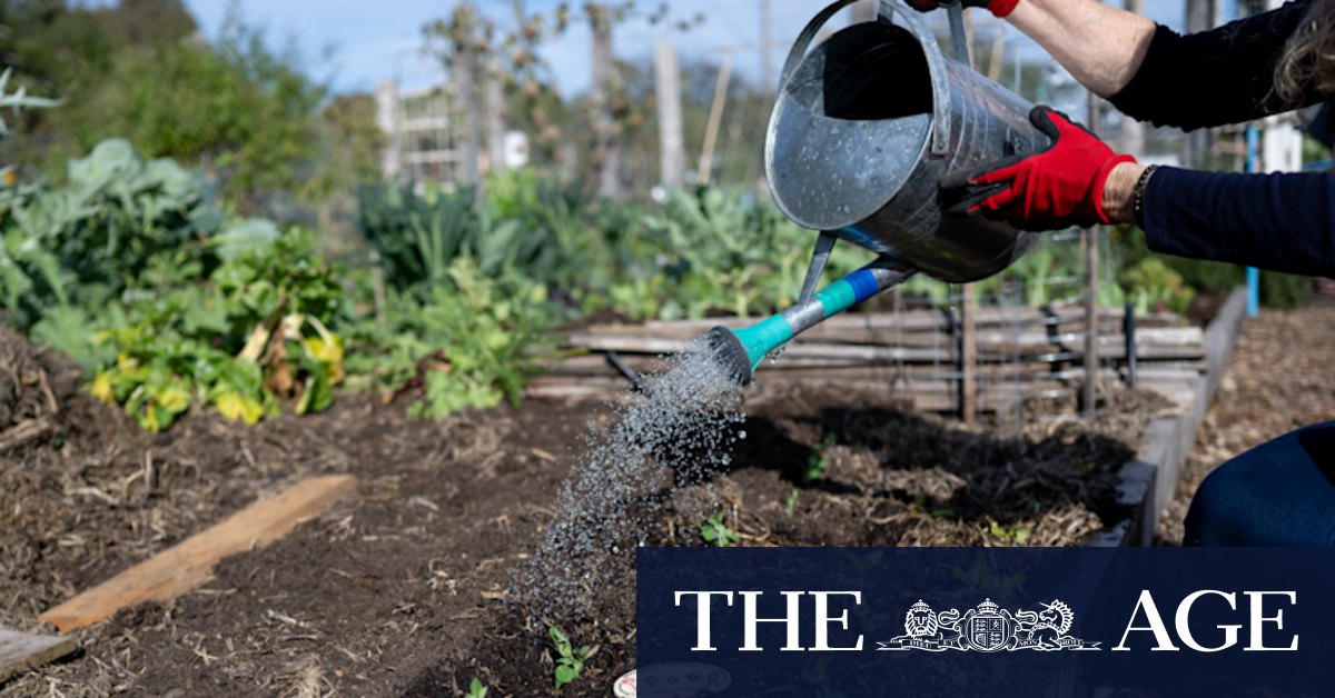 Community garden CERES under threat amid cash shortfall