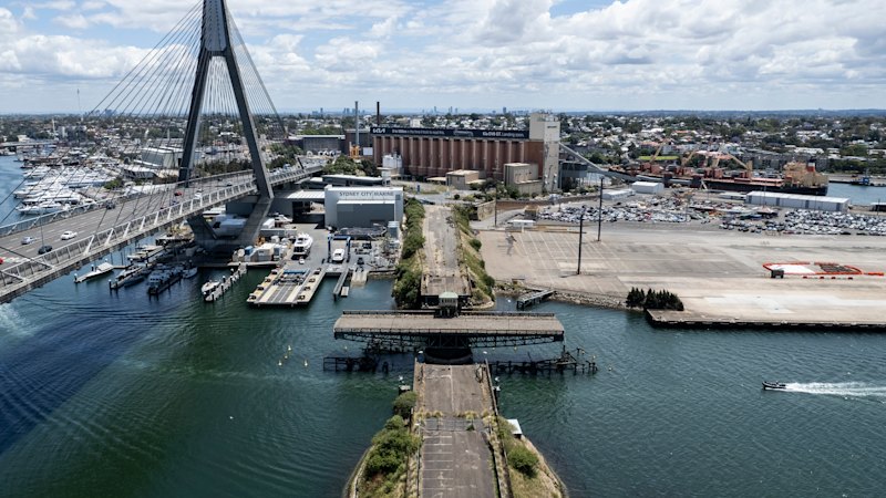 Harbour homes for the wealthy is no fix, premier