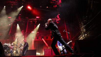 Michael Dwyer The Sydney Morning Herald