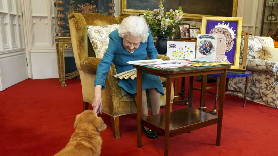 The Queen’s corgi, Candy, ambled in as the monarch viewed memorabilia from past jubilees. 