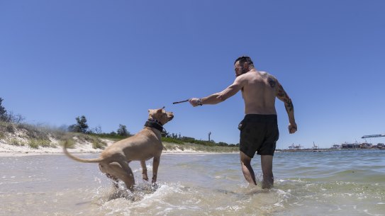 Dogs allowed off-leash at the beach only works if the animal is under the control of its owner.