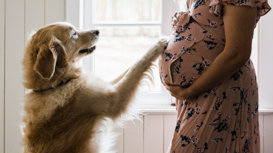 'I never thought I’d be announcing my pregnancy to my family via Zoom, but different times call for different measures.'