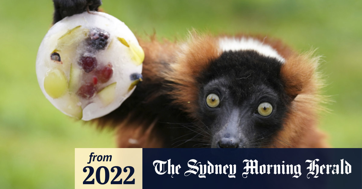 www.smh.com.au
