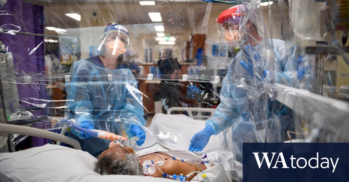 Australia COVID: Doctors alarmed by BA.5 subvariant and severity of latest Omicron wave - Vimarsana News