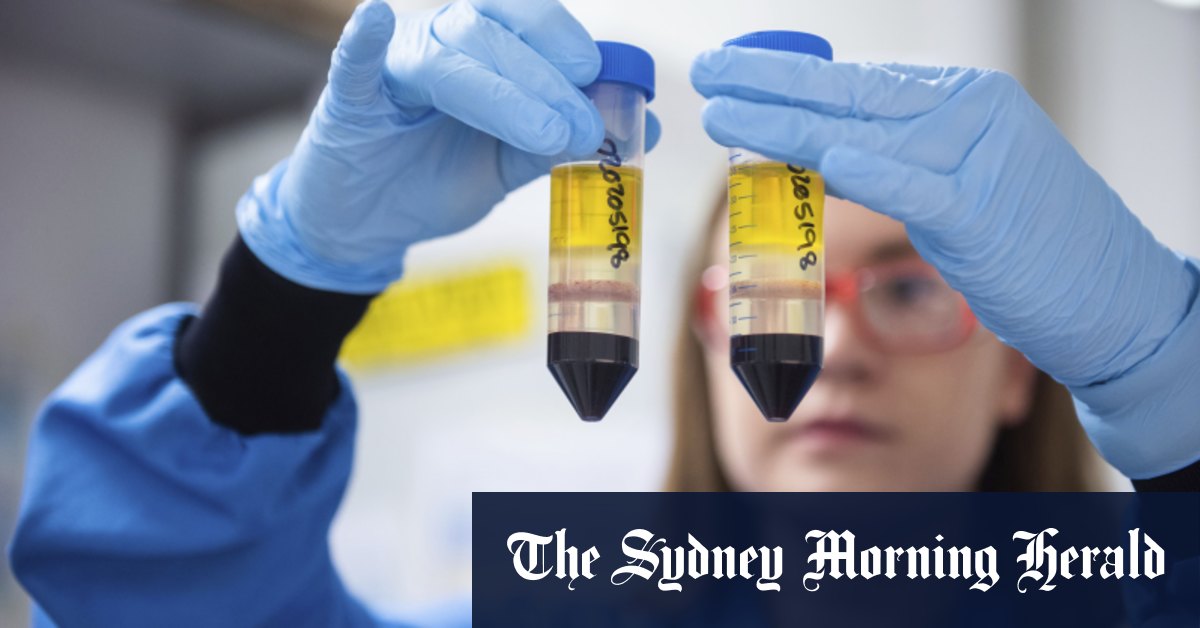 Coronavirus: AstraZeneca may run new COVID-19 vaccine trial after questions emerge