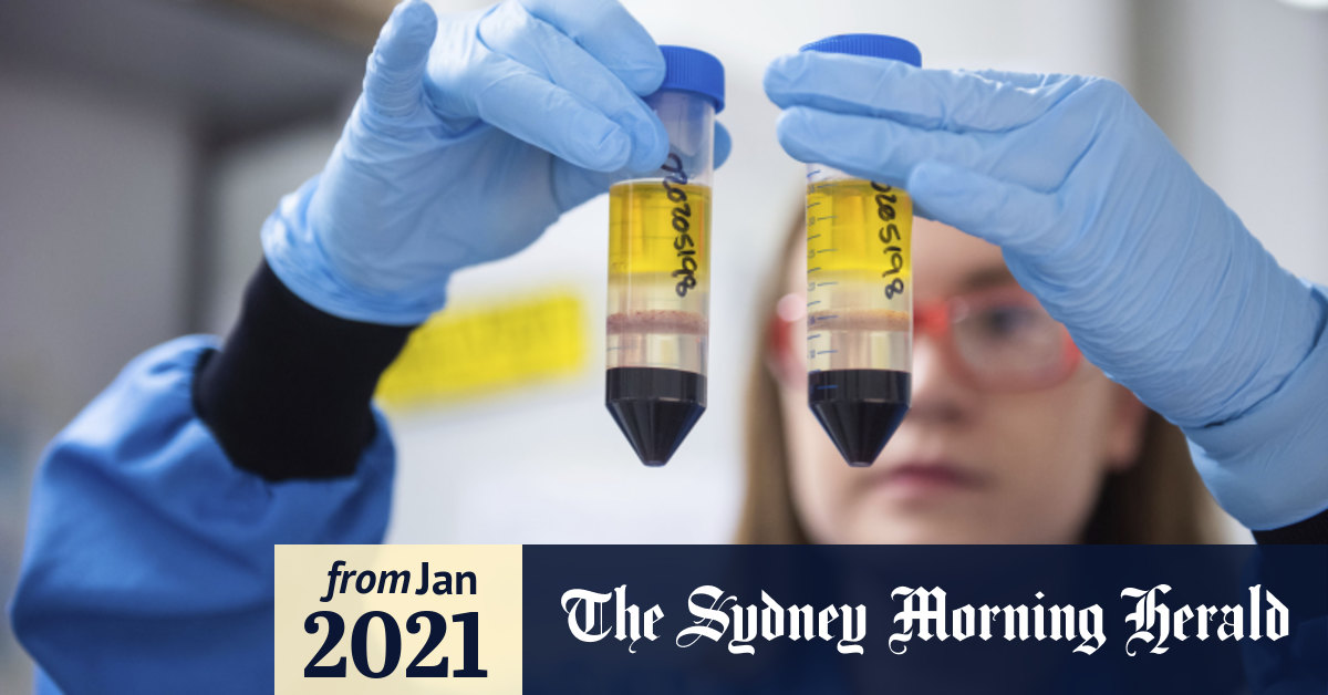 Tga Still Waiting For Further Data On Astrazeneca Vaccine