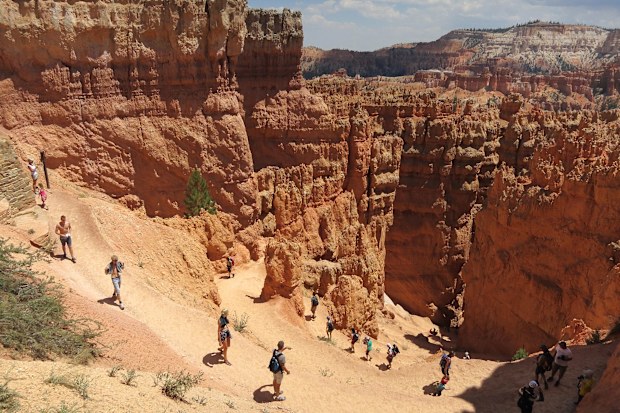 The mesmerizing rock formations in Bryce Canyon National Park are a popular tourist destination.