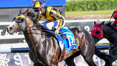 Hot property: Trapeze Artist wins the TJ Smith earlier this month and will run in Aquis Farm's slot in the Everest in October.