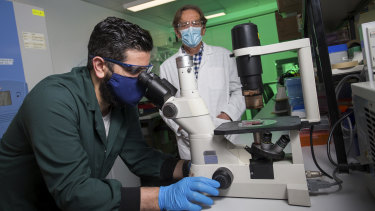 Harry Al-Wassiti (left) and Colin Pouton are working on a COVID-19 vaccine at Monash University.