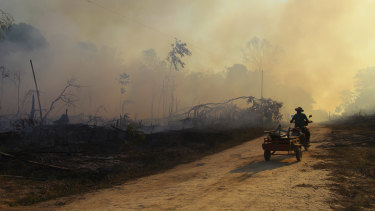 A man pulls a cart along a dirt road in an area scorched by fires near Labrea, Amazonas state, Brazil, on Friday. Labrea has a historically high rate of fires set by those clearing the Amazon rainforest for cattle crazing and crops.