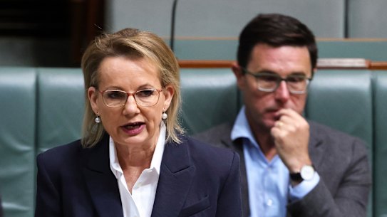 A líder da oposição, Sussan Ley, e o líder dos nacionais, David Littleproud, no parlamento na manhã de quarta-feira.