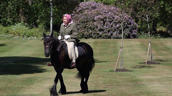 Queen Elizabeth rides Balmoral Fern, a 14-year-old Fell Pony, in Windsor Home Park last year. 