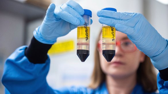 AstraZeneca's vaccine is considered the best chance for developing countries, as it does not need to be stored at extreme temperatures. 