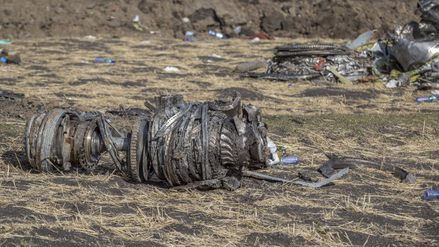 Aeroplane parts lie on the ground at the scene of the Ethiopian Airlines crash.