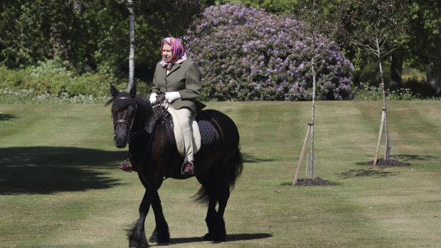 Queen Elizabeth rides Balmoral Fern, a 14-year-old Fell Pony, in Windsor Home Park last year. 