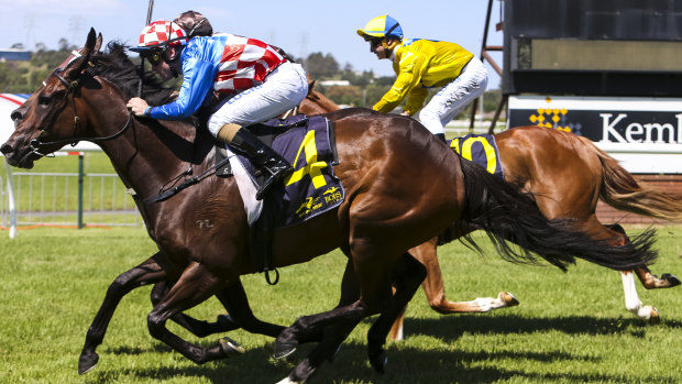 Home on the Grange: there are seven races scheduled for Kembla today.