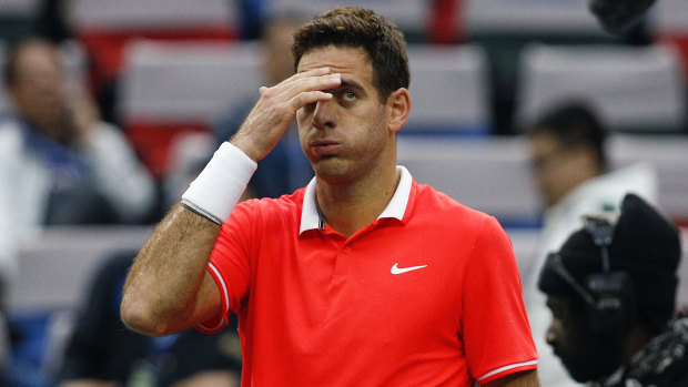 Juan Martin del Potro has fractured his knee.