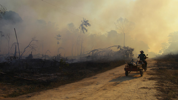 A man pulls a cart along a dirt road in an area scorched by fires near Labrea, Amazonas state, Brazil, on Friday. Labrea has a historically high rate of fires set by those clearing the Amazon rainforest for cattle crazing and crops.
