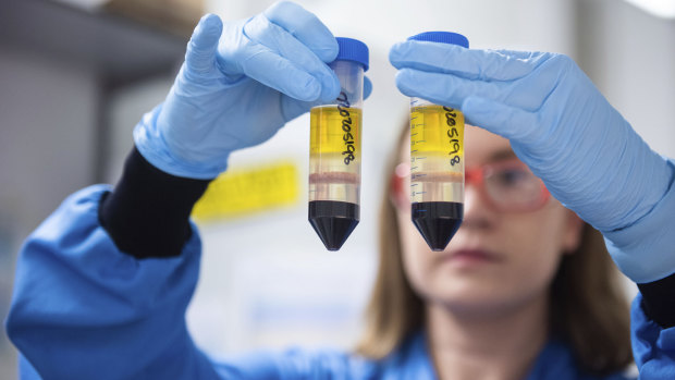 A researcher works on the coronavirus vaccine developed by AstraZeneca and University of Oxford in Oxford, England.