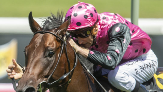 Mamaragan winning the Skyline Stakes as a two-year-old, he returns as a gelding at Kembla Grange on Saturday