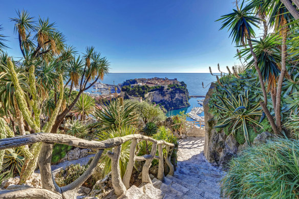 Looking through the exotic garden to the water.