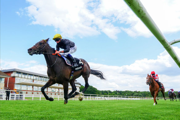 English King wins the Derby Trial Stakes at Lingfield.