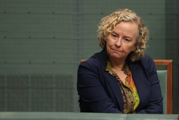 Labor MP Sharon Claydon in 2021. 